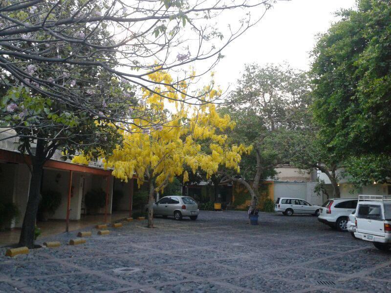 Hotel Isabel Guadalajara Exterior foto